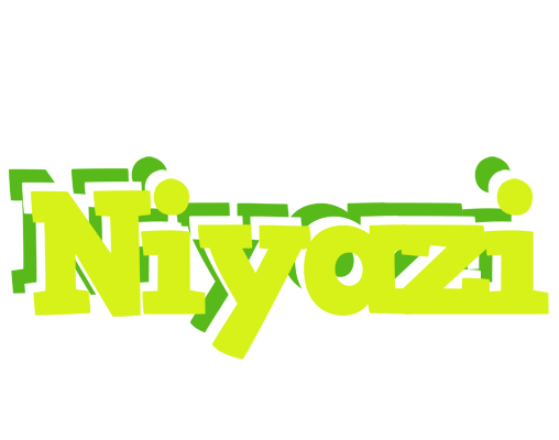 Niyazi citrus logo