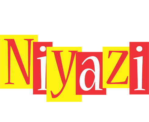 Niyazi errors logo