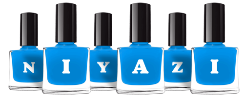 Niyazi glossy logo