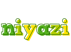 Niyazi juice logo