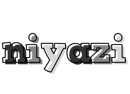 Niyazi night logo