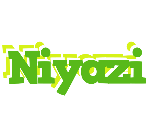 Niyazi picnic logo