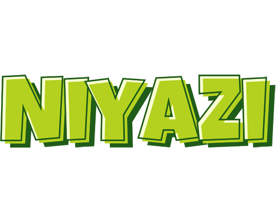 Niyazi summer logo