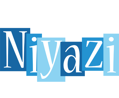 Niyazi winter logo