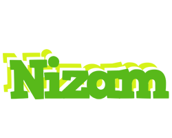 Nizam picnic logo