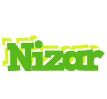 Nizar picnic logo