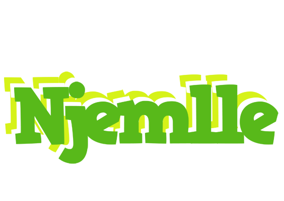 Njemlle picnic logo