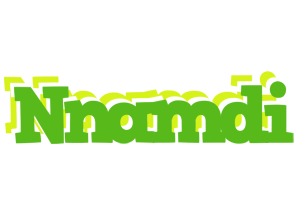 Nnamdi picnic logo