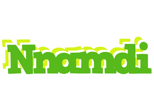 Nnamdi picnic logo