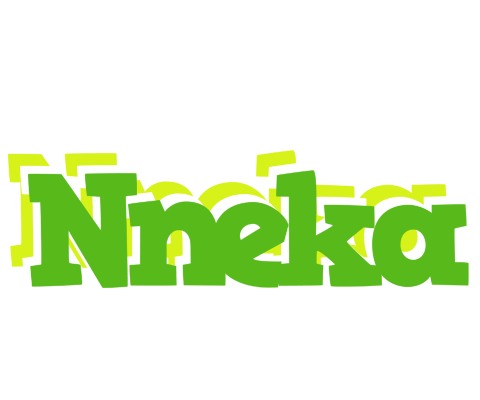 Nneka picnic logo