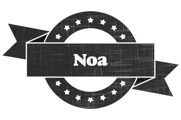 Noa grunge logo