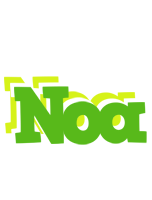 Noa picnic logo