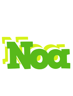 Noa picnic logo