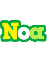 Noa soccer logo