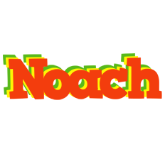 Noach bbq logo