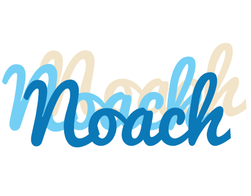 Noach breeze logo