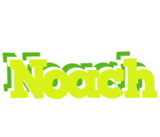 Noach citrus logo