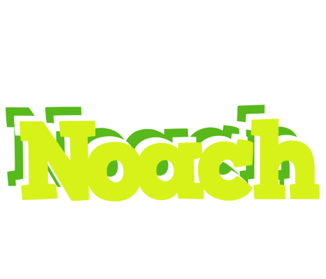Noach citrus logo