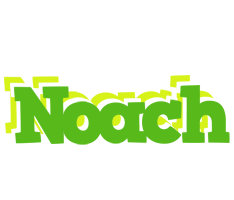 Noach picnic logo