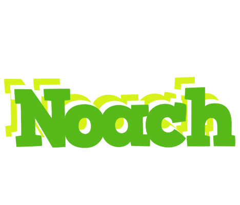 Noach picnic logo