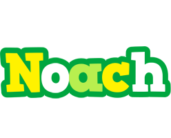 Noach soccer logo