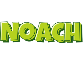 Noach summer logo