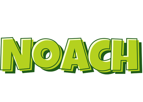Noach summer logo