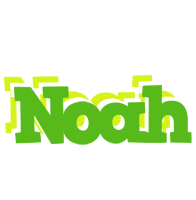 Noah picnic logo