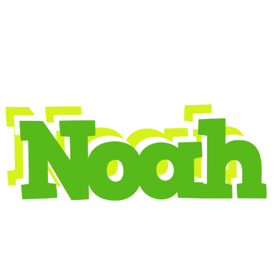 Noah picnic logo