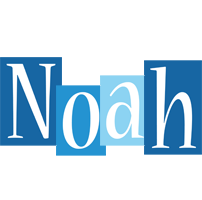 Noah winter logo