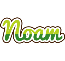 Noam golfing logo