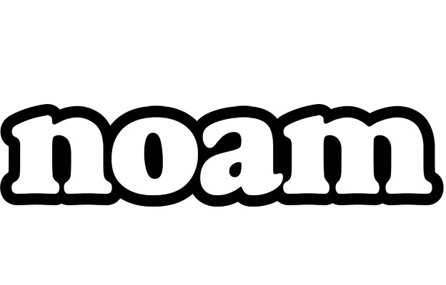 Noam panda logo