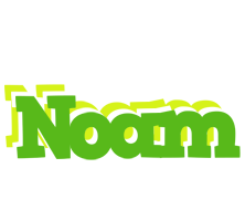 Noam picnic logo