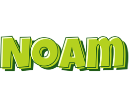 Noam summer logo