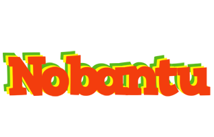 Nobantu bbq logo