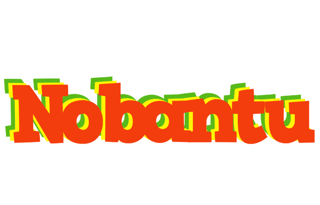 Nobantu bbq logo