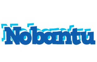 Nobantu business logo