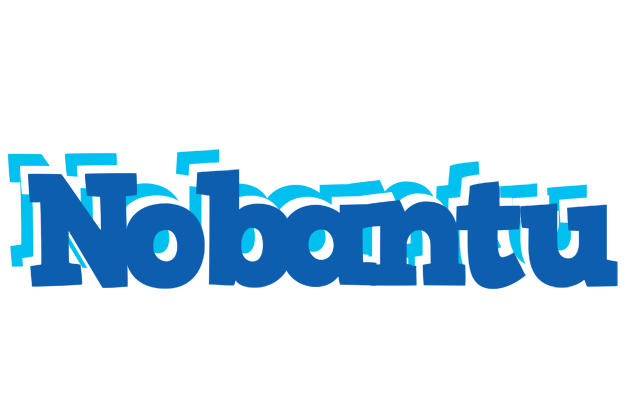 Nobantu business logo