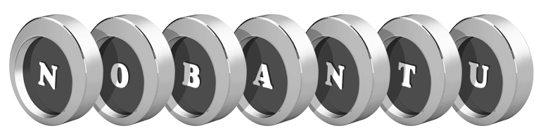 Nobantu coins logo