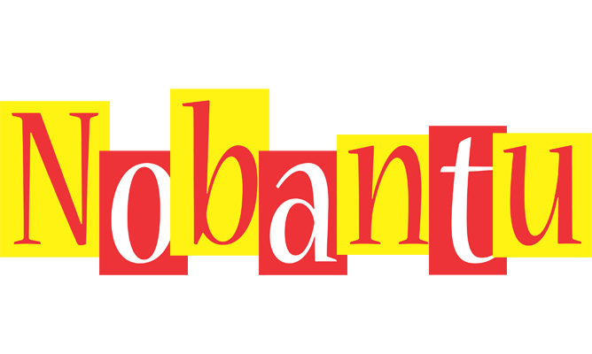 Nobantu errors logo