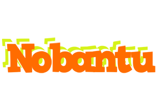 Nobantu healthy logo