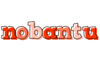 Nobantu paint logo