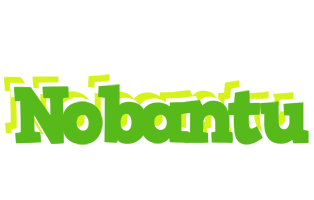 Nobantu picnic logo