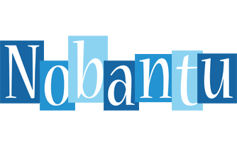 Nobantu winter logo