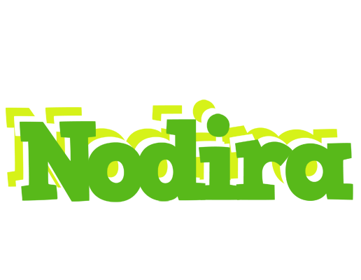Nodira picnic logo