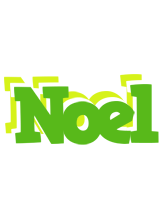 Noel picnic logo