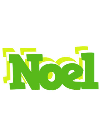 Noel picnic logo