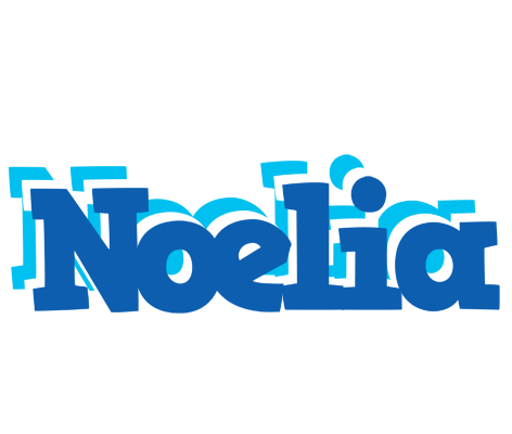 Noelia business logo