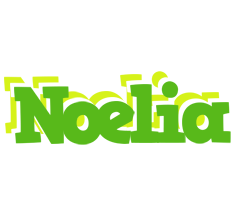 Noelia picnic logo