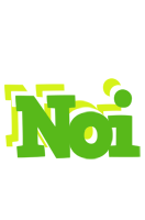 Noi picnic logo